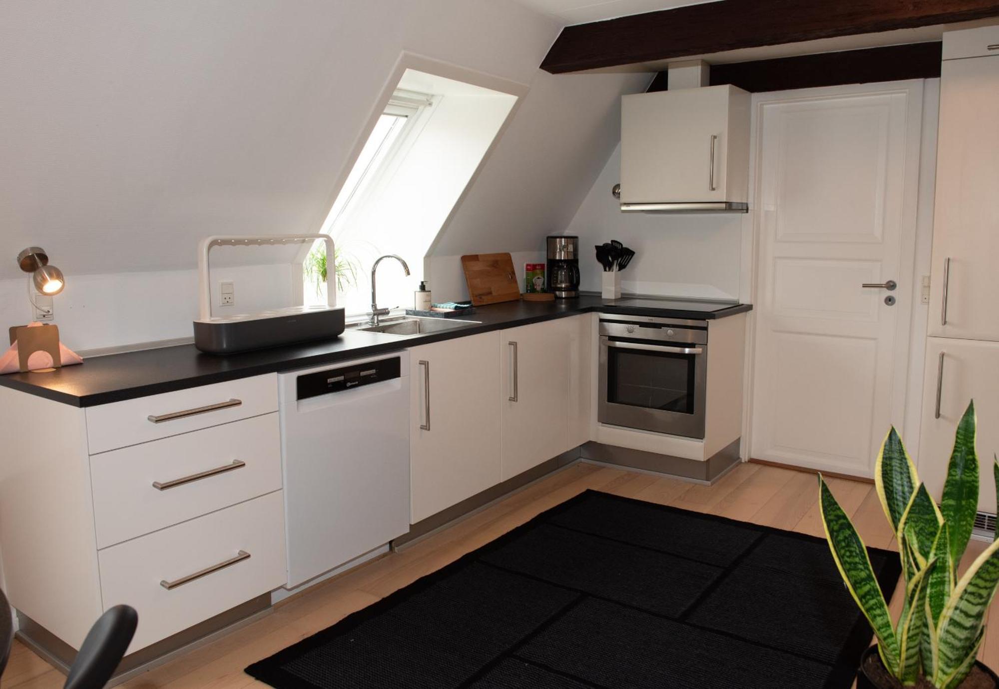Lejlighed Med Et Eller To Separate Sovevaerelser Ribe Exterior foto